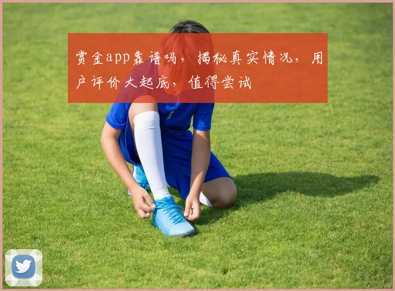 赏金app靠谱吗，揭秘真实情况，用户评价大起底，值得尝试
