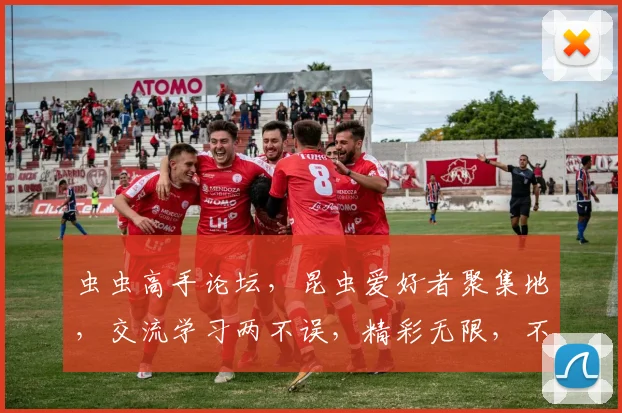 虫虫高手论坛，昆虫爱好者聚集地，交流学习两不误，精彩无限，不容错过
