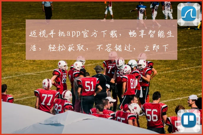迈视手机app官方下载，畅享智能生活，轻松获取，不容错过，立即下载