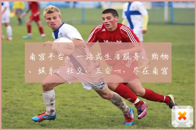 南宫平台，一站式生活服务，购物、娱乐、社交，三合一，尽在南宫，体验非凡